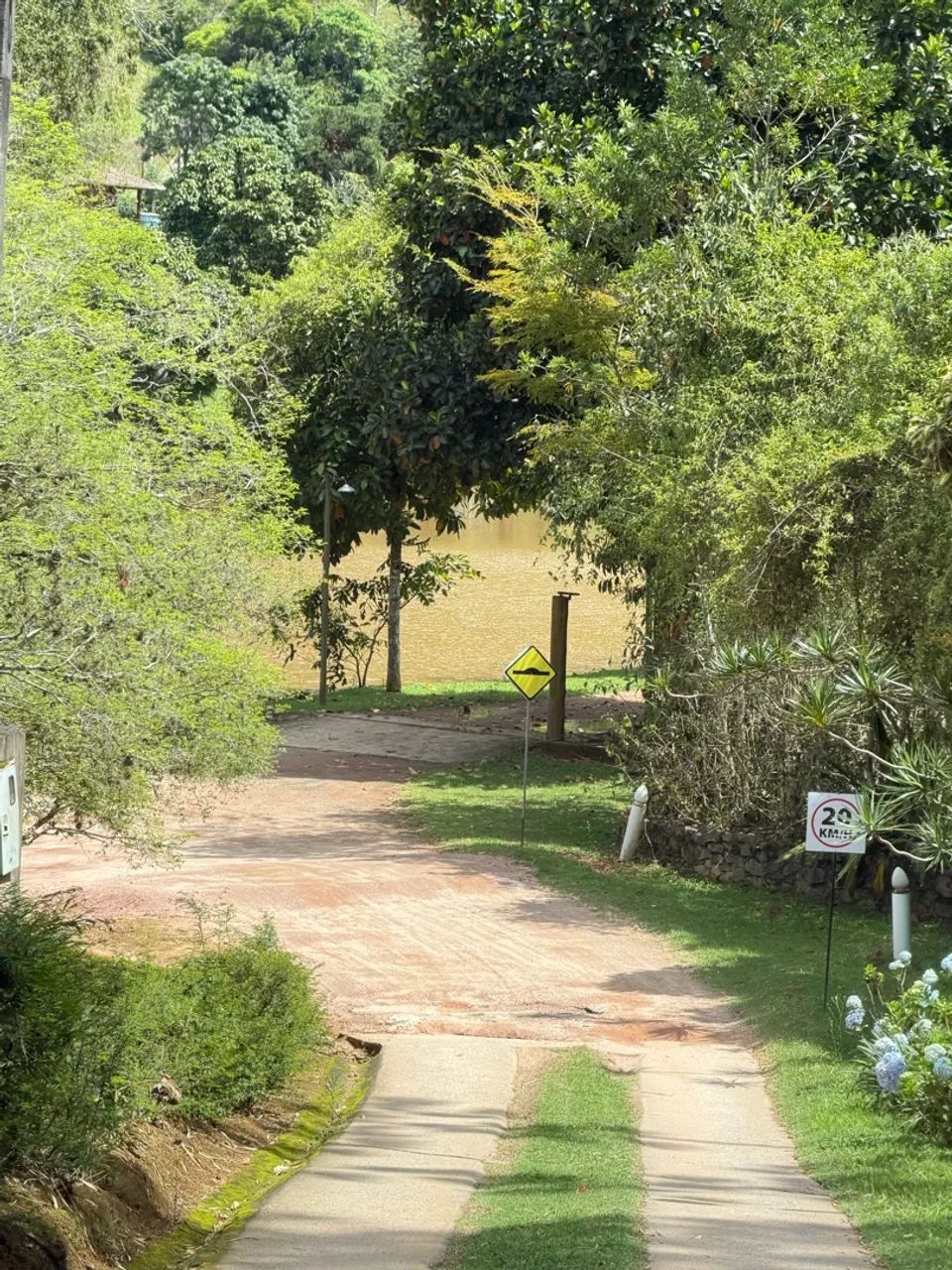 Uma chácara  - Foto 3