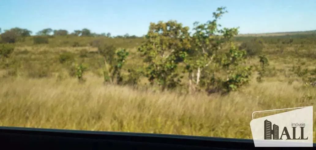Fazenda, Centro, Figueirão - Foto 2