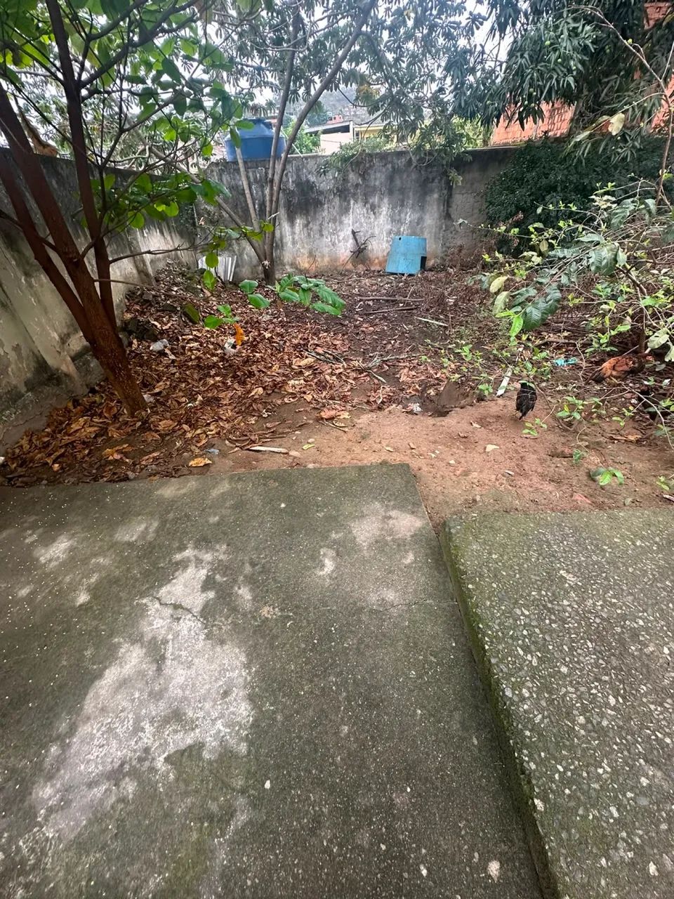 Vendo terreno em comendador 