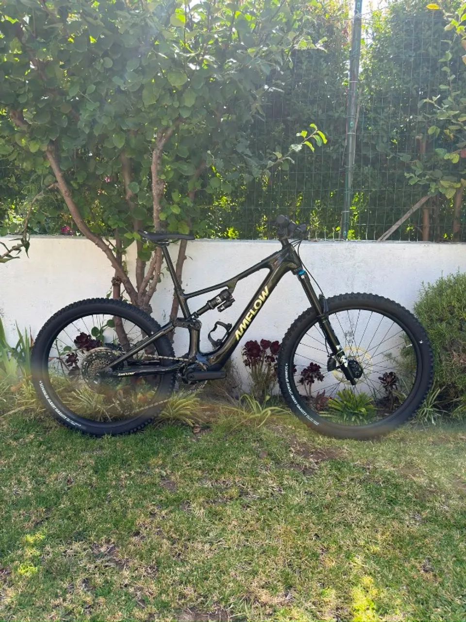 Bicicleta Amflow PX Carbon - Avinox