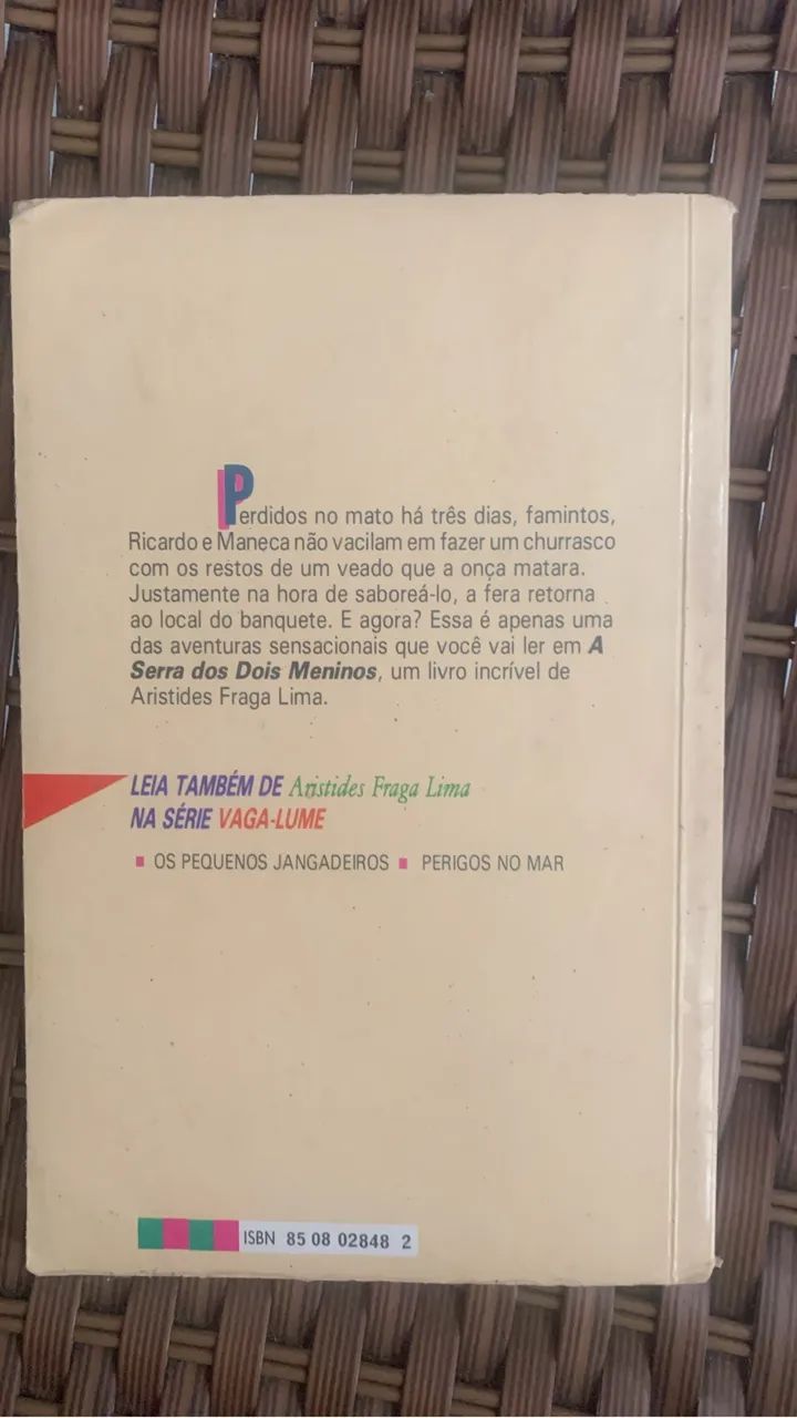 A serra dos dois meninos  - Foto 3
