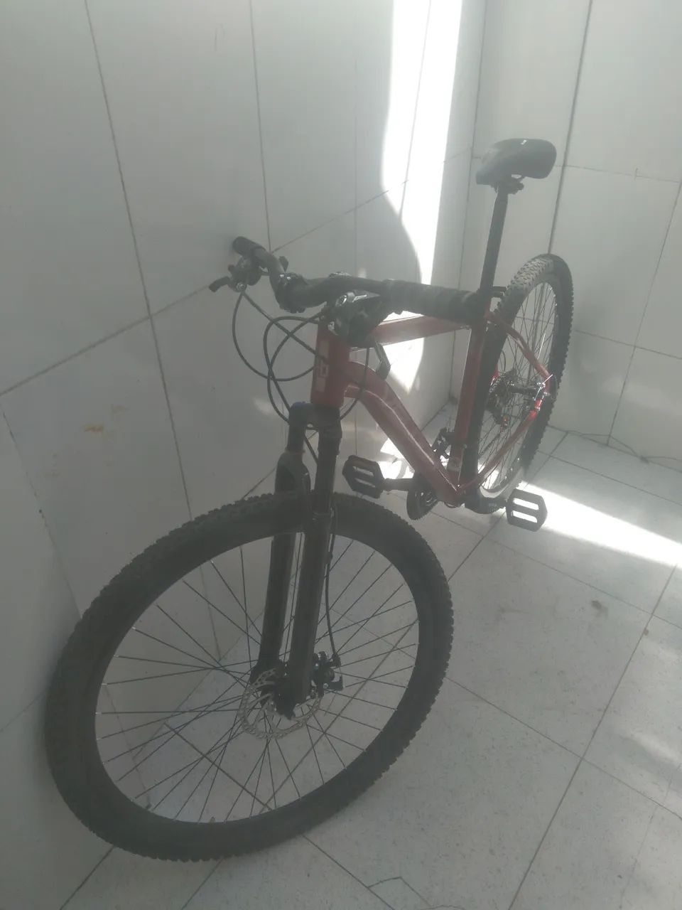 Bike Aro29