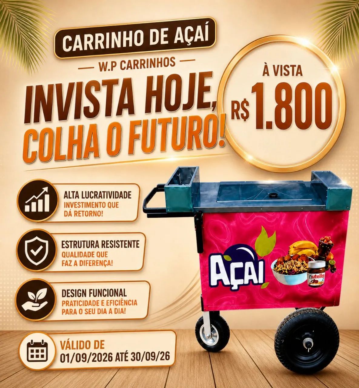 Carrinhos de açaí pequeno - Foto 2