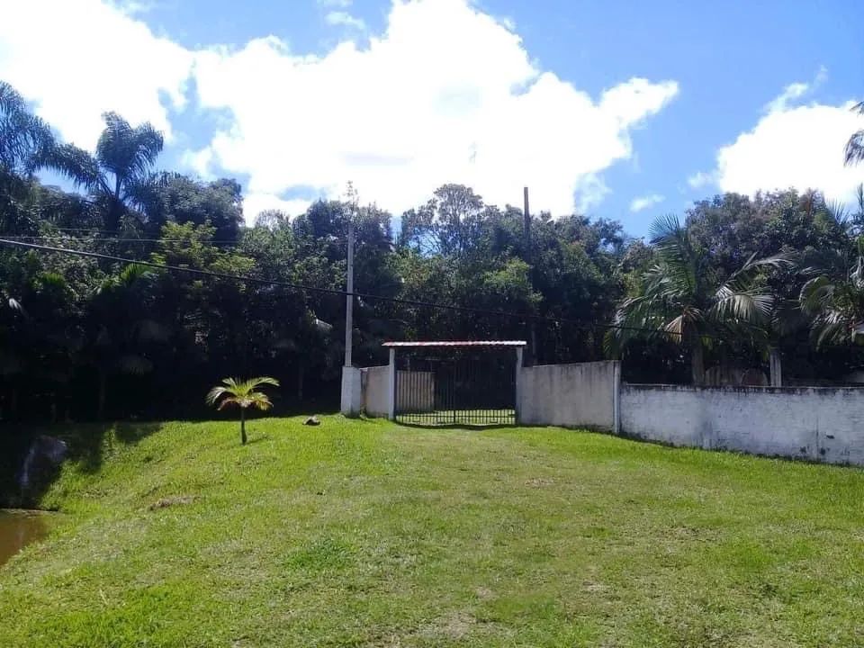 Foto - Curitiba - Xaxim