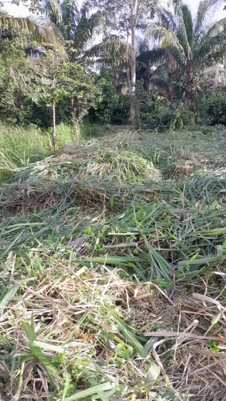 Terreno barato  - Foto 3