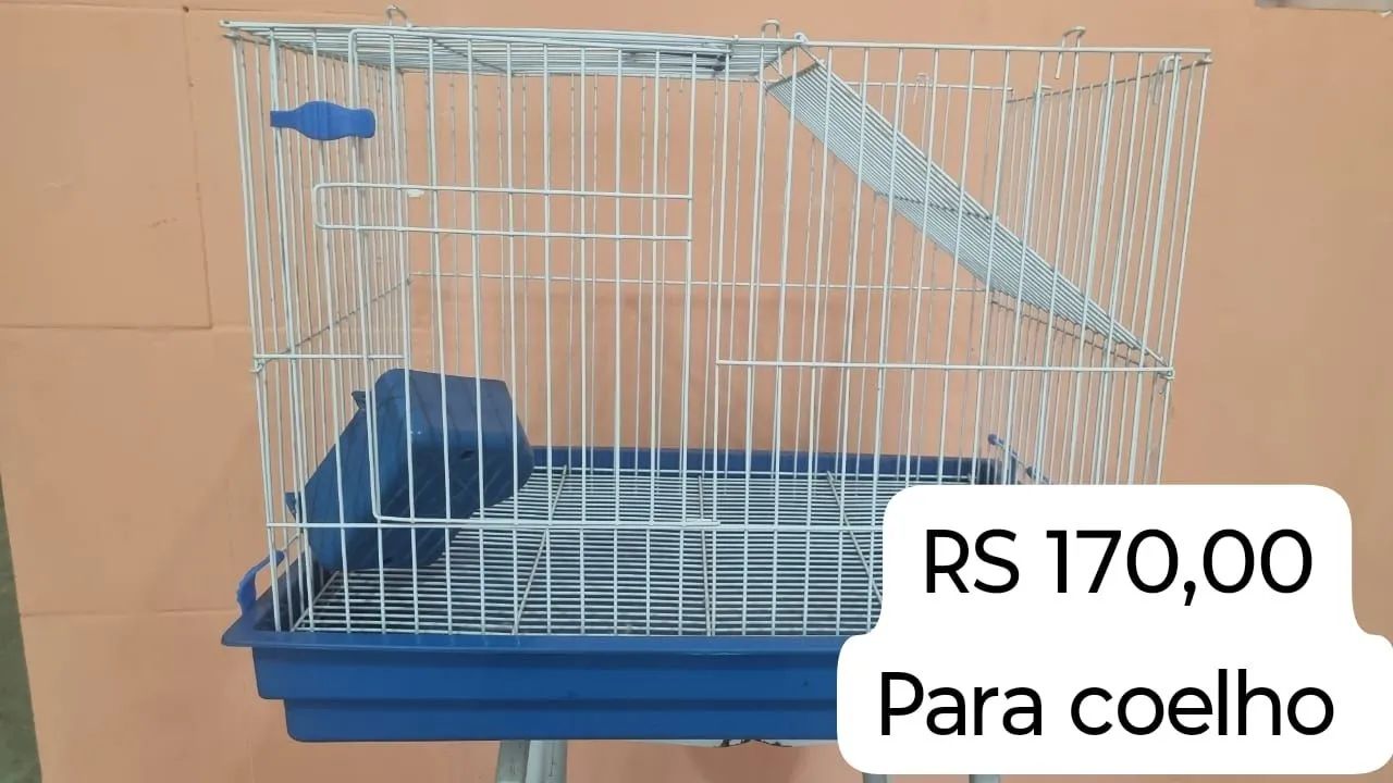 Gaiolas 65579489608323121