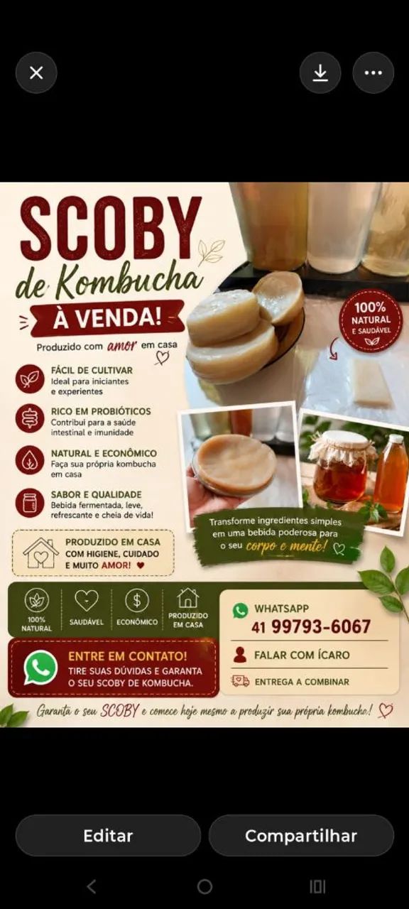 SCOBY PARA KOMBUCHA 