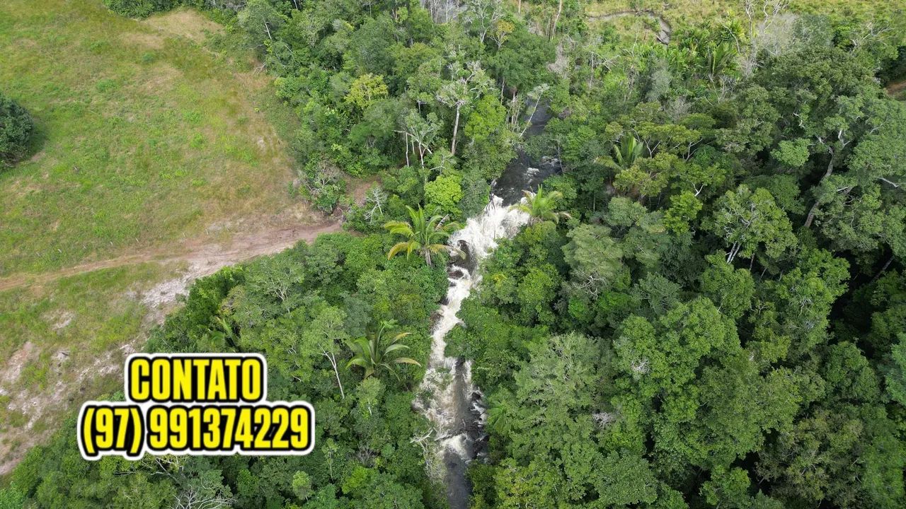 EXCELENTE FAZENDA EM APUÍ AMAZONAS - Foto 5