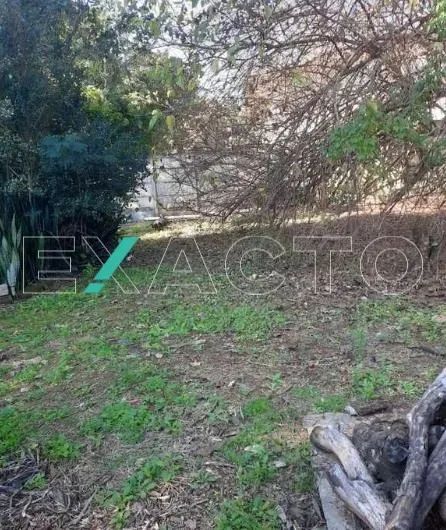 terreno - Jardim Conceição (Sousas) - Campinas - Foto 3