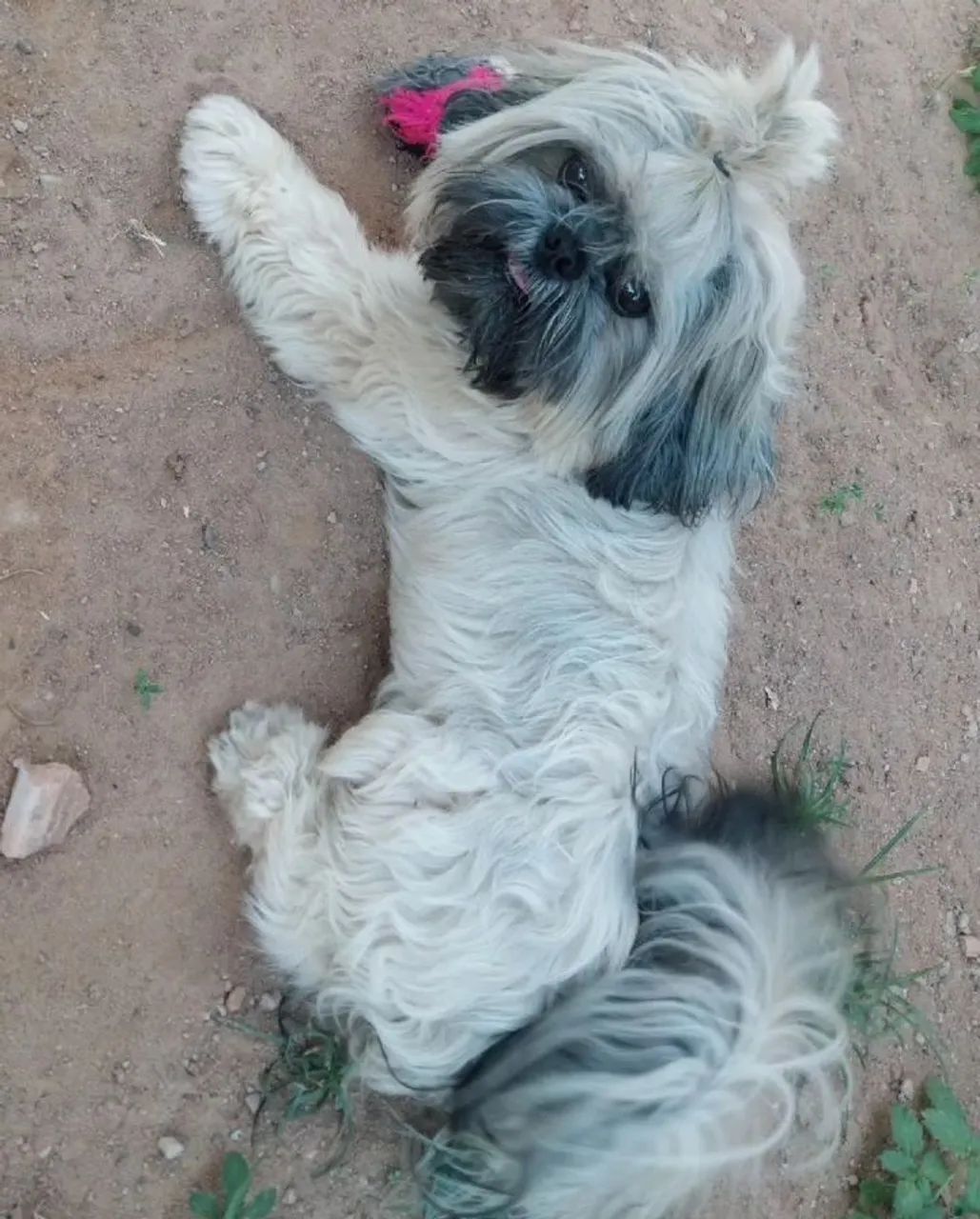 Procuro enamorada  - Foto 5