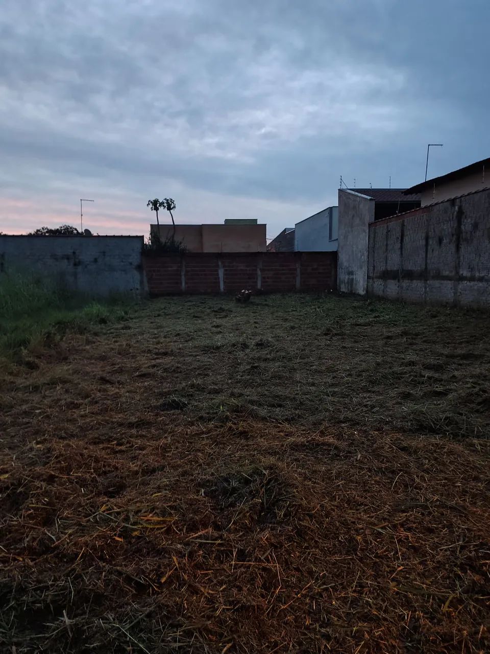 Terreno em Pirassununga - SP - Foto 4