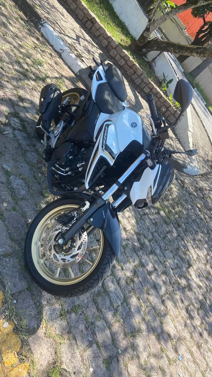 Fz 25 2025