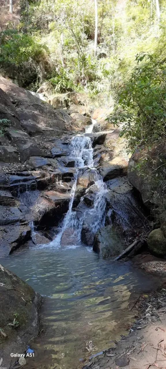 Sítio bairro Selado Paraibuna com 242000 m2 - - Foto 4