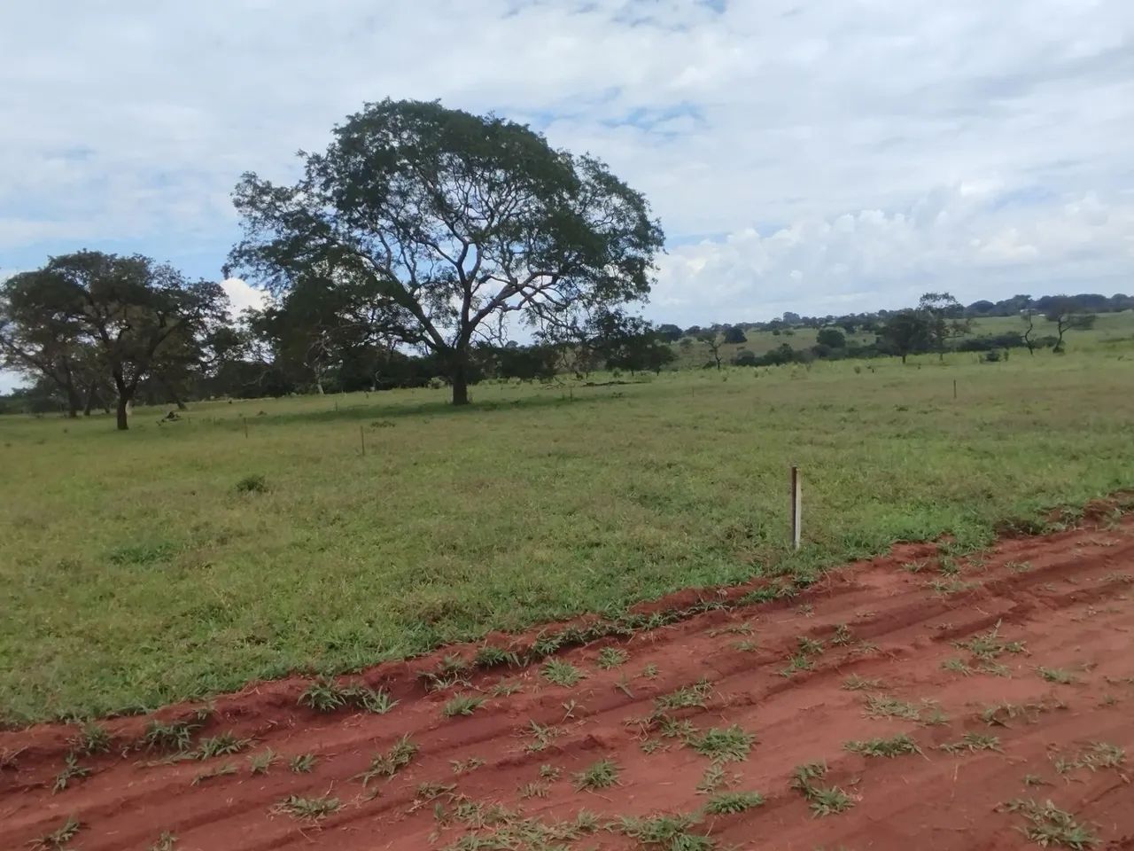 Vendo chácara Km26 Prata - Foto 3