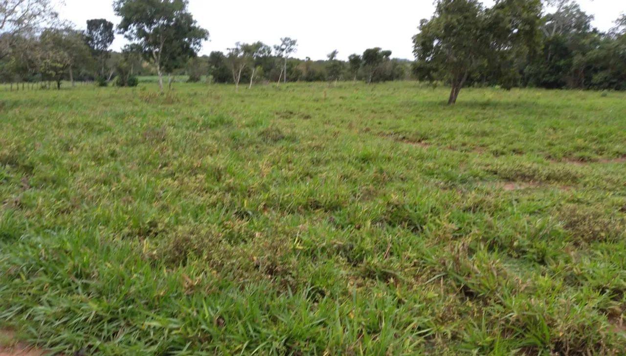 Foto - Porto Nacional - 