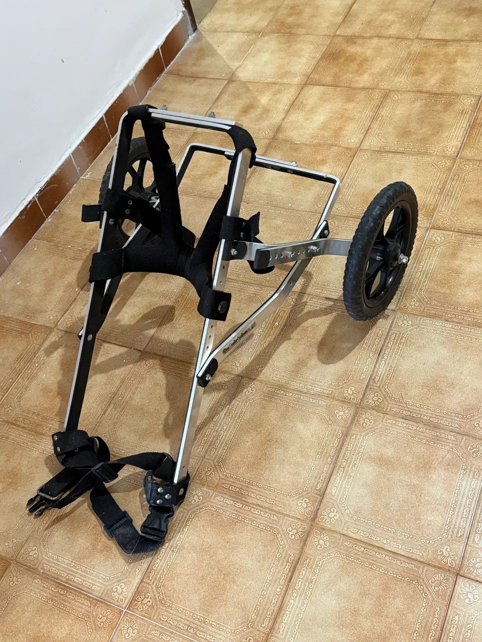 Carro para cachorro com problemas nas pernas 
