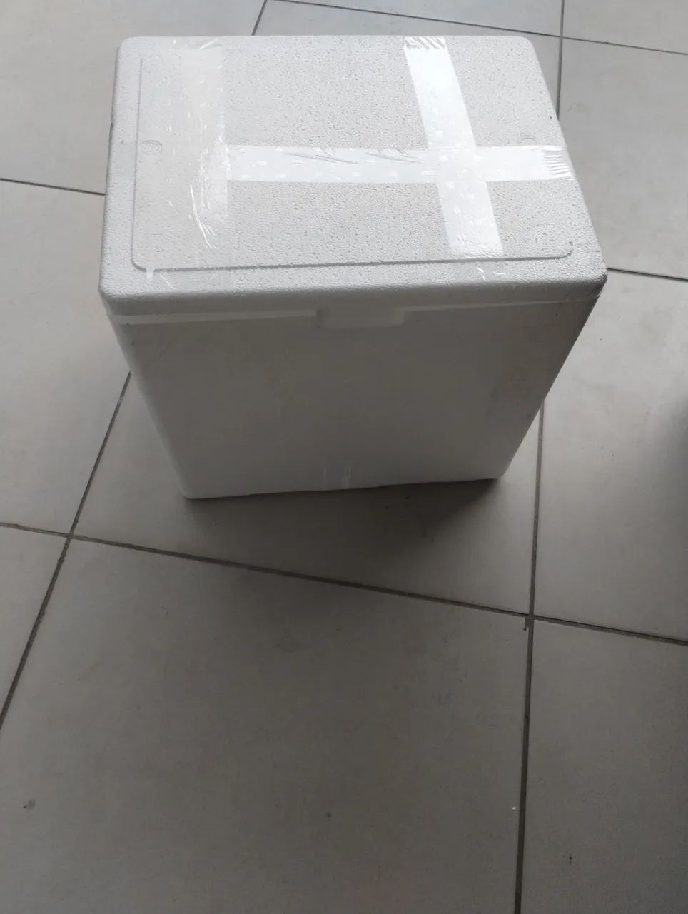 Caixa de isopor para BAG 20,00 - Foto 4