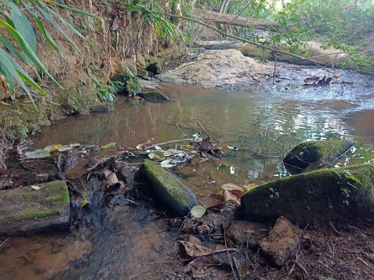 oportunidade sitio com cachoeira em natividade da serra - Foto 5