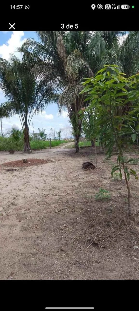 Sítio no Cantá - Foto 3