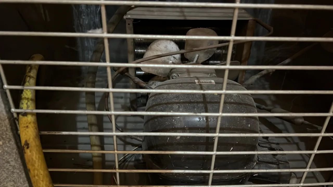Bebedouro Industrial  - Foto 5