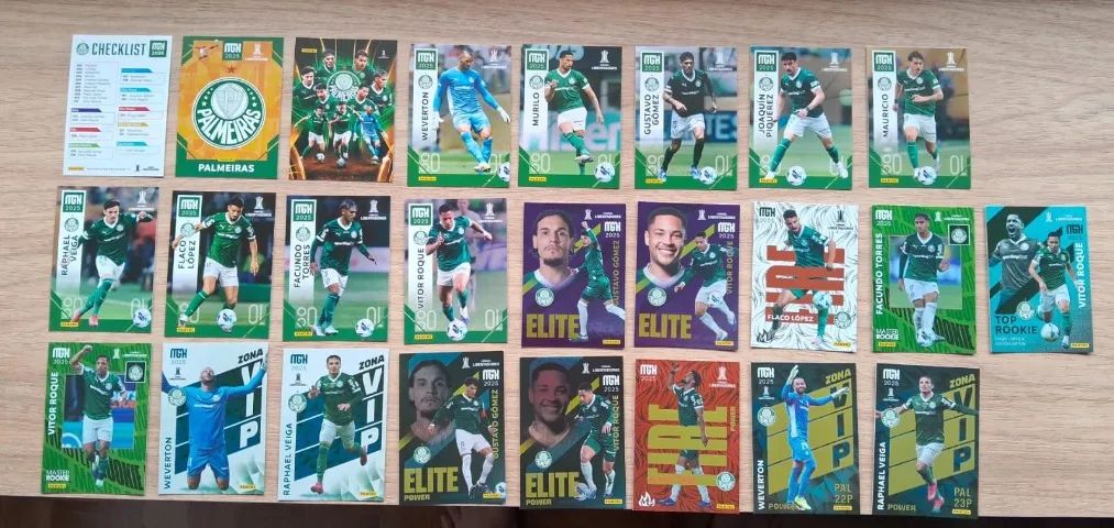 Palmeiras - Cards Libertadores 2025 - Panini