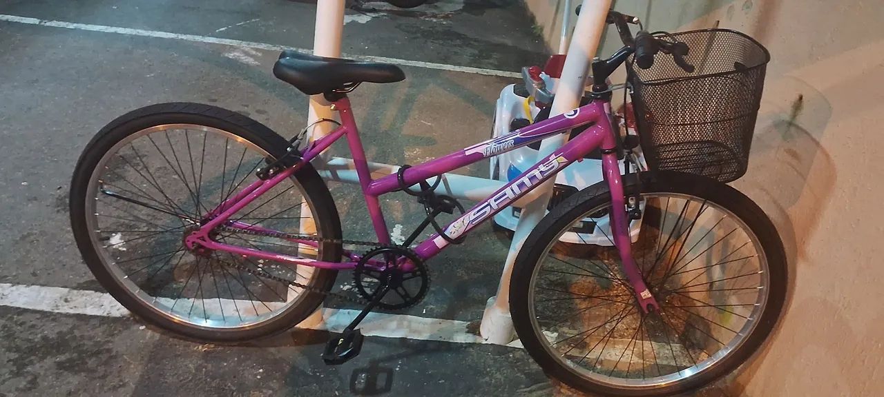 Bicicleta Aro 24