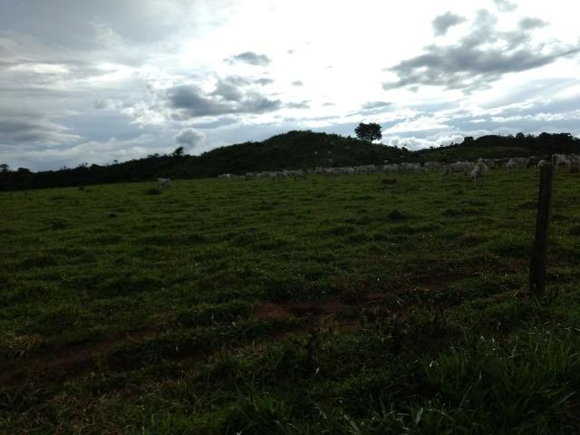 Fazenda de 150 alqueires, com 120 aberto 65 km de Guarantã do Norte -MT - Foto 3