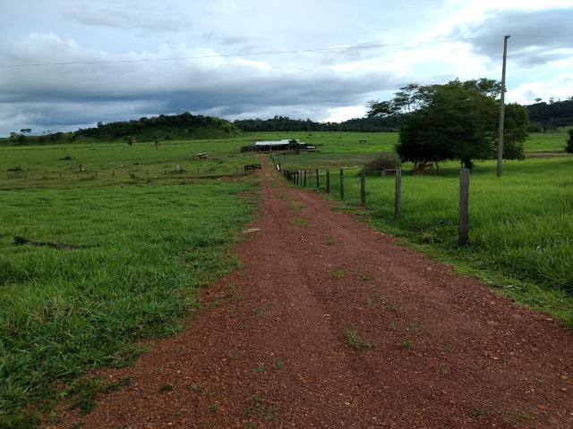Fazenda de 150 alqueires, com 120 aberto 65 km de Guarantã do Norte -MT - Foto 13