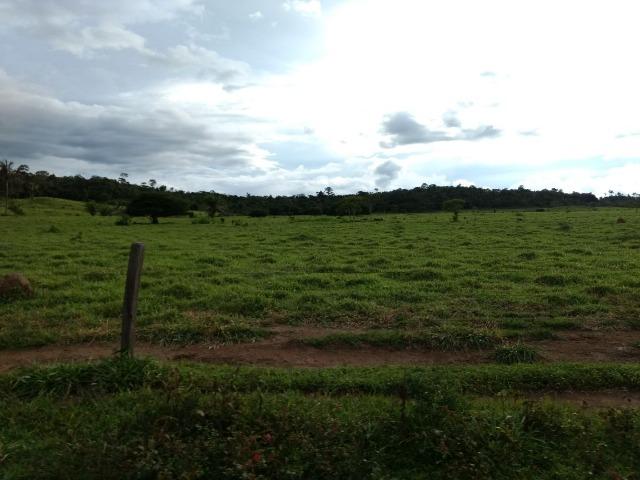 Fazenda de 150 alqueires, com 120 aberto 65 km de Guarantã do Norte -MT - Foto 11