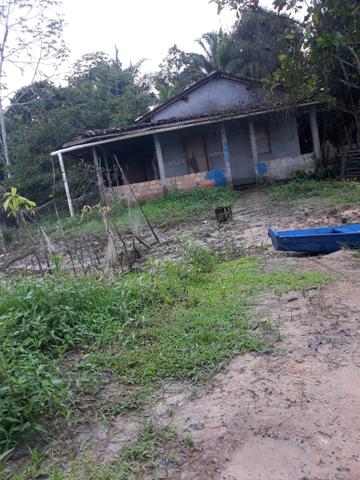 Terreno e fazenda - Foto 6