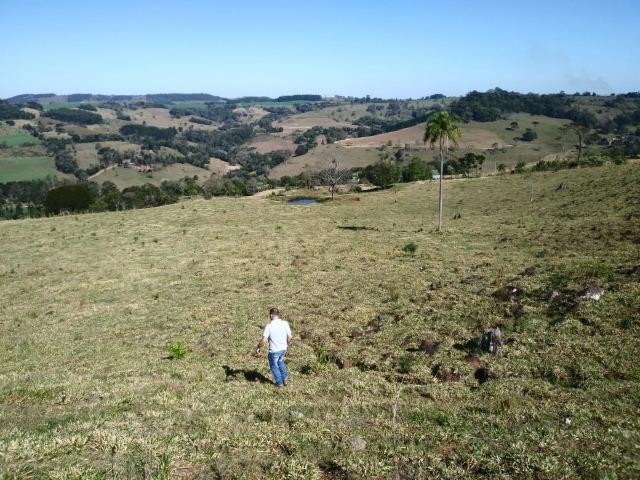 Otima fazendinha - Foto 9