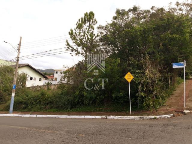 Loteamento - ariribá - balneário camboriú. - Foto 7