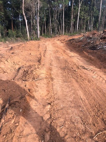 AM Terreno c/ ótima localização! - Foto 3