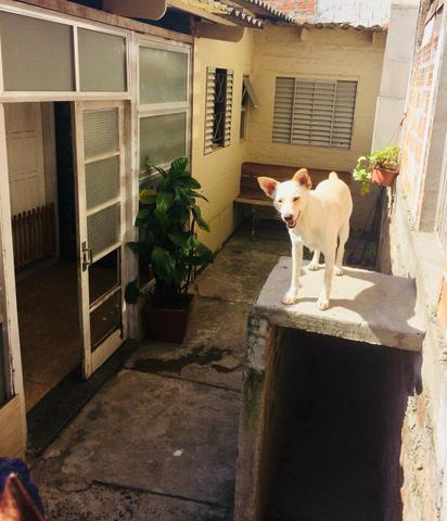 Vende-se uma excelente casa - Foto 13