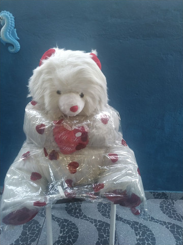Urso muito grande - Foto 3