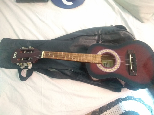 Cavaquinho Elétrico