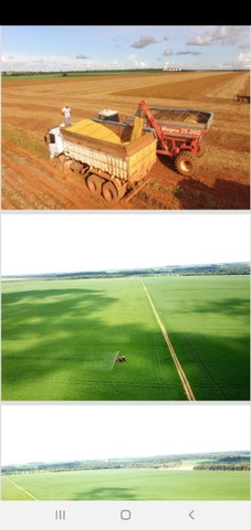 Vende se Fazenda de 6.691 Alq em Brasnort-MT  - Foto 3