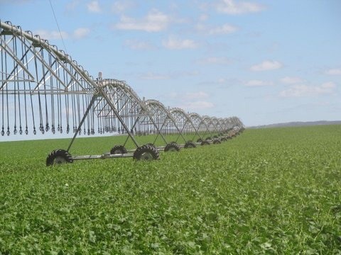 350.000.000                Fazenda em Ipameri Go 417 Alq com 305 em lavoura - Foto 3