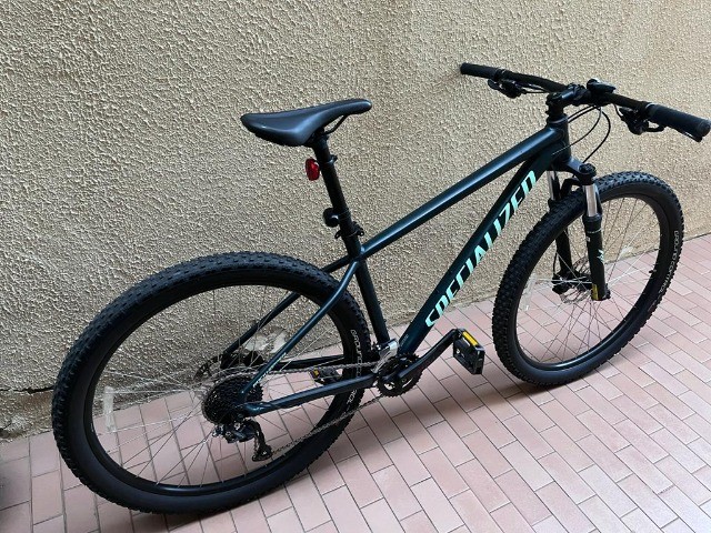 specialized men's rockhopper pro