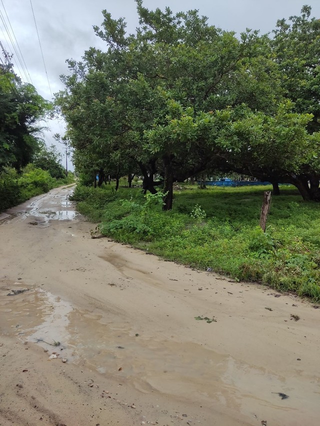 Terreno para sítio de esquina, duas frentes 46 km Fortaleza  - Foto 7