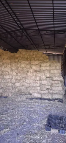Venda de Feno de Tifton-85