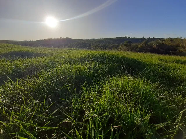 Luz/MG - Fazenda 36ha - R$2.200.000,00