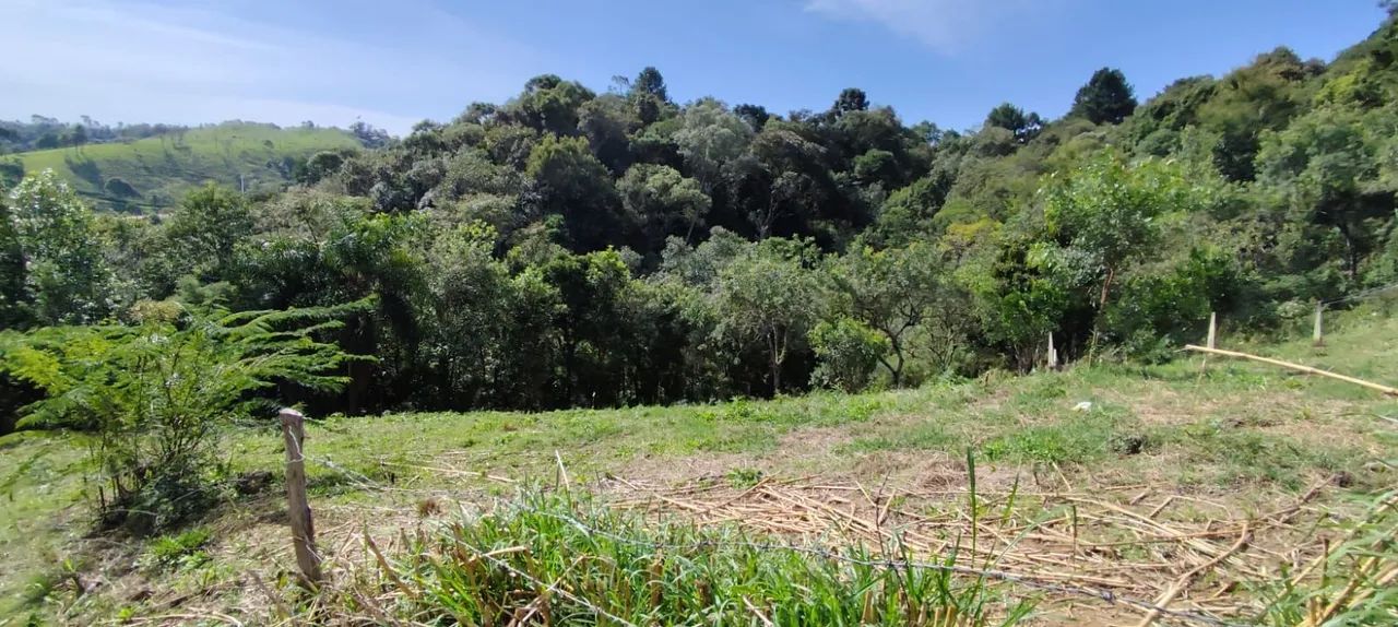 Vendo chácara formada com 2 casas - Foto 8