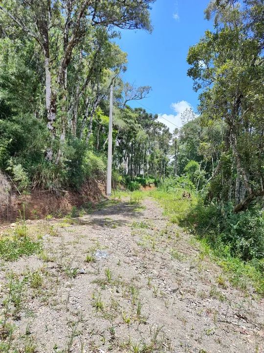Lindo sítio em Urubici SC  - Foto 3