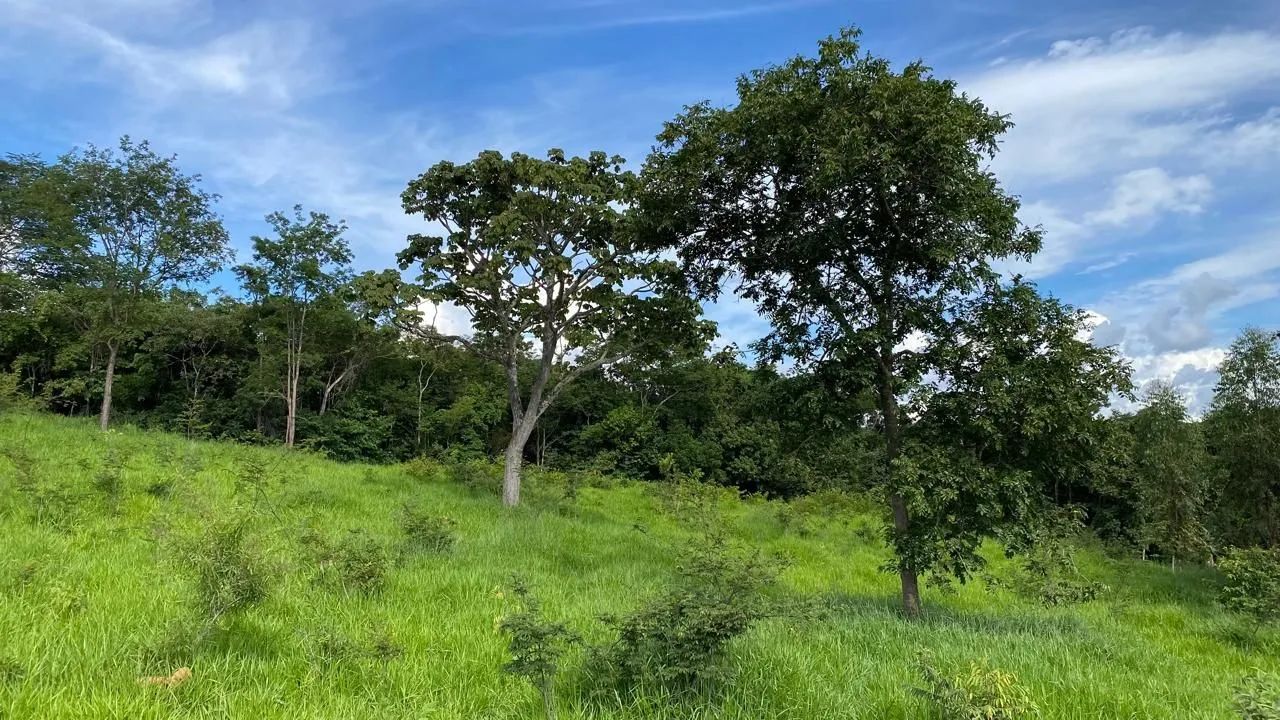 20mil mt em Bela Vista 70km de Goiânia ! - Foto 3