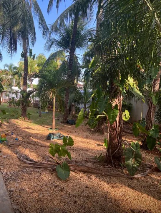 Alugo salas nove comercial na Qd 204 Sul Prox. Ao MERCATO no centro de Palmas - TO - Foto 10