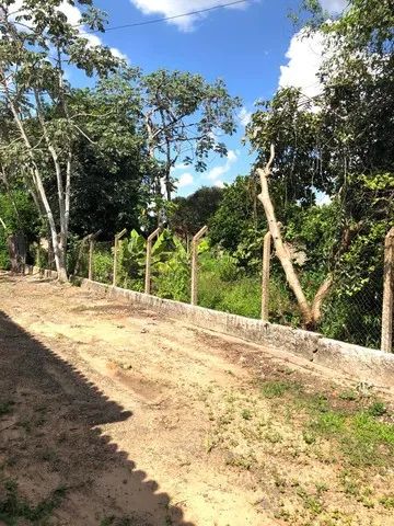 Excelente Terreno de 2000 m2 , de uma rua à outra, na Rua Fioravante Rossi, B. Rossi, Capi - Foto 4