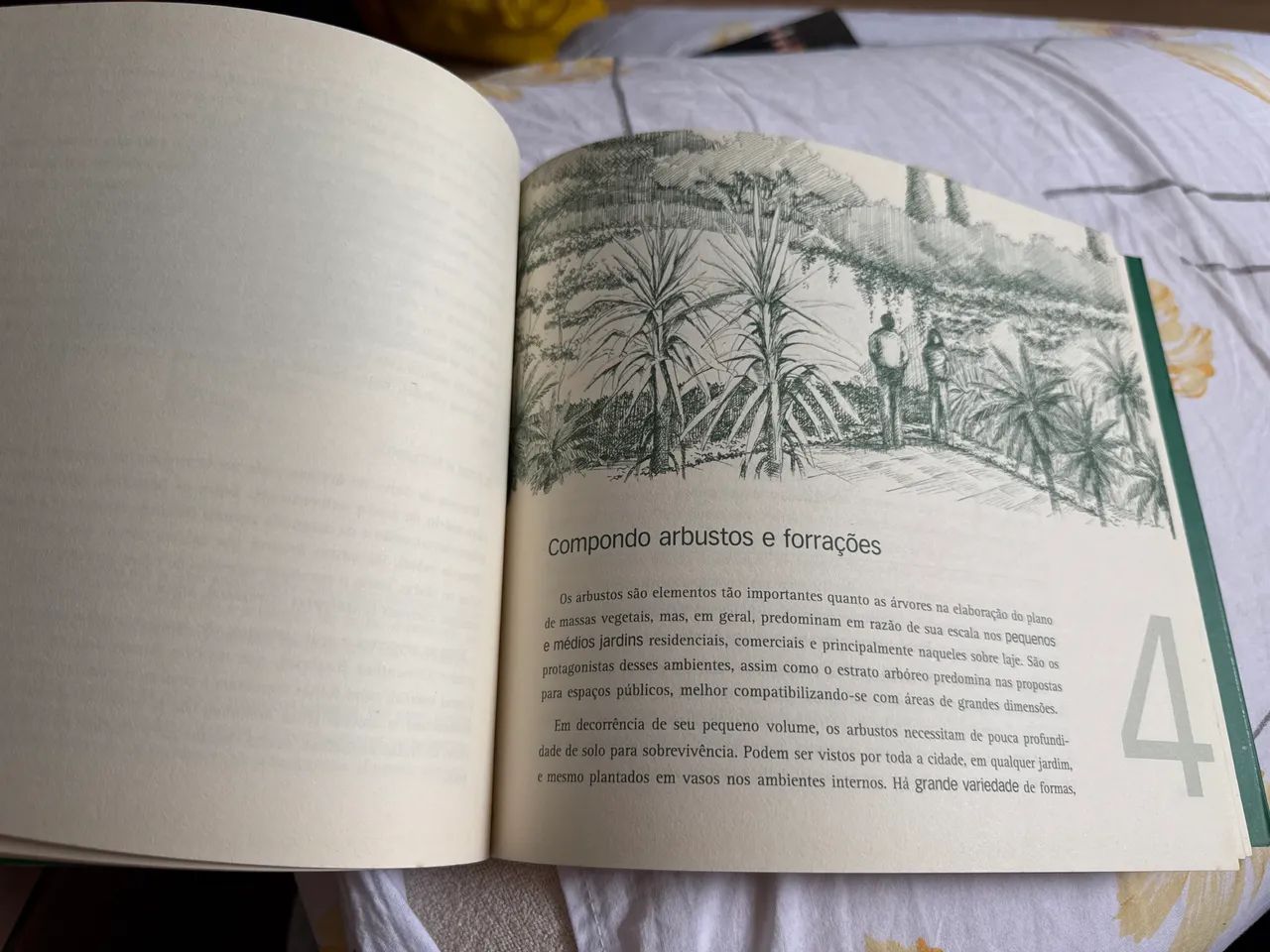 Creating Landscapes Book - 4th Edition - Benedito Abbud64728253490561122