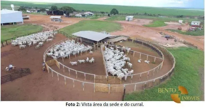 Fazenda com múltiplas possibilidades de uso.