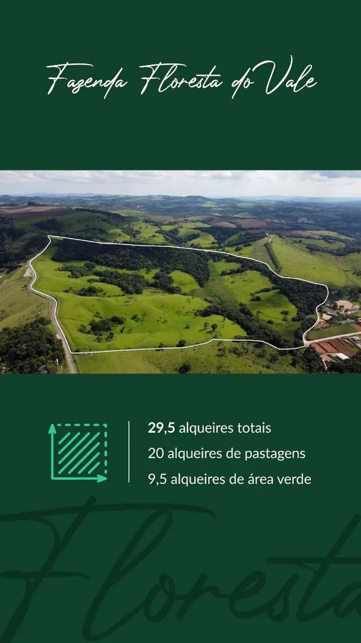 Fazenda/Sítio/Chácara para venda possui 672000 metros quadrados - Foto 7